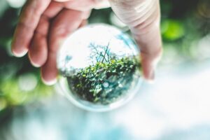 hand holding a globe with nature